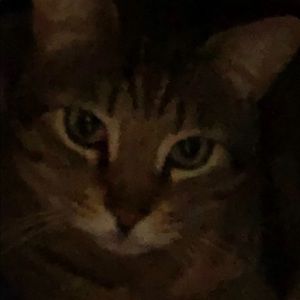 Meet your Posher, Anna-karin